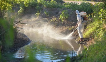 ZOONOSIS TRABAJA EN LA PREVENCIN DEL DENGUE